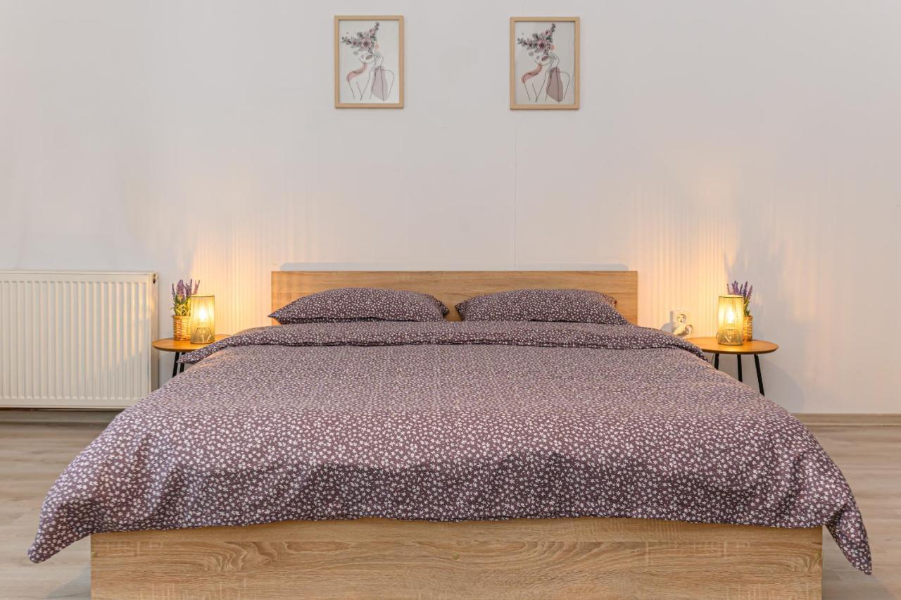 Mountain Oasis Apartment Σινάια Εξωτερικό φωτογραφία